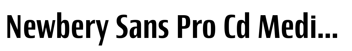 Newbery Sans Pro Cd Medium